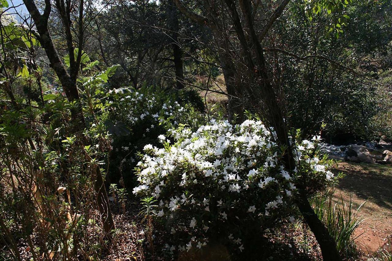 Sabie Star别墅 外观 照片